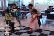 Summer Chess 2014 at Bonsor