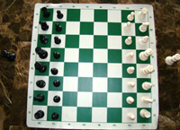 Chess Pieces and Vinyl Rollup Chessboard
